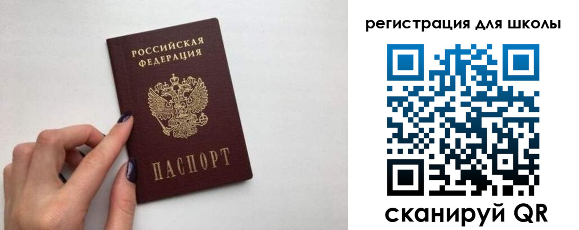 прописка поиск в Новозыбкове
